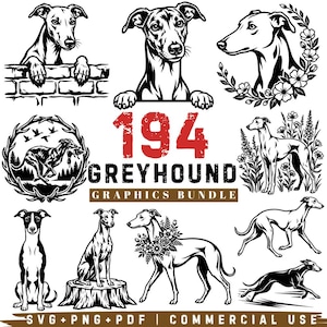 Op de afbeelding: Een verzameling zwart-witillustraties met greyhounds in verschillende houdingen, waaronder rennend, zittend en omringd door bloemenkransen. De centrale tekst luidt 194 GREYHOUND GRAPHICS BUNDLE, met SVG PNG PDF COMMERCIAL USE onderaan.