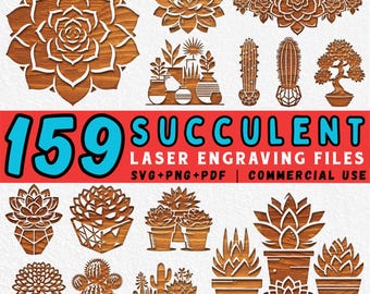 May include: A collection of laser engraving files featuring various succulent and cactus designs. The image includes multiple wooden cutouts of different succulent plants, pots, and arrangements. Text on a red banner reads "159 Succulent Laser Engraving Files".