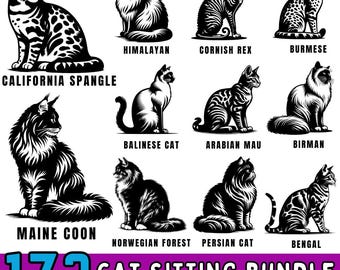 Sitting Cat SVG Bundle: Silhouette Clipart, Pet Line Art (Commercial Use)