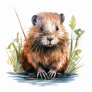 Muskrat PNG Sublimation file - muskrat illustration with plant and white background - instant digital downloads