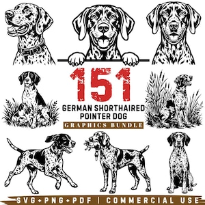 May include: A collection of black and white illustrations featuring German Shorthaired Pointer dogs in various poses, including sitting, running, and holding game. The text 151 GERMAN SHORTHAIRED POINTER DOG GRAPHICS BUNDLE SVG PNG PDF COMMERCIAL USE is included.