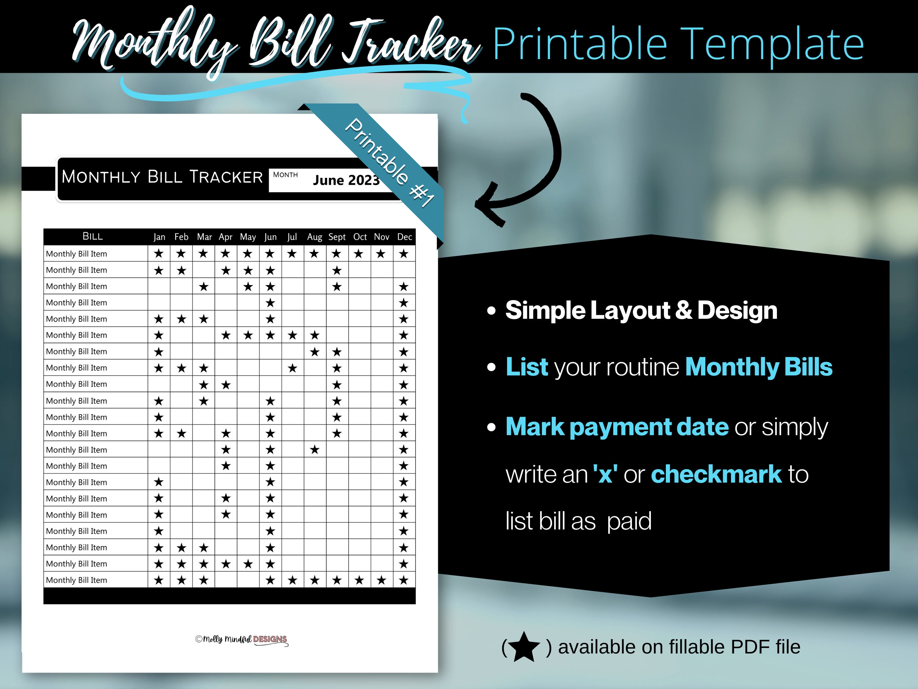 Editable Monthly Bill Tracker, Budget Planner Printable, Bill Expense ...