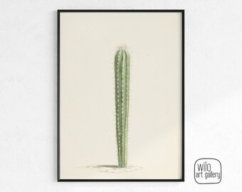 Cactus - Botanical Vintage Illustration | DIGITAL DOWNLOAD, botanical art prints, botanical decor, cactus drawings, cactus poster, southern