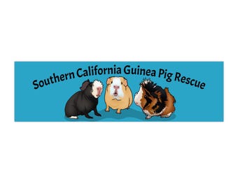 SoCal Guinea Pig Rescue Bumper Sticker