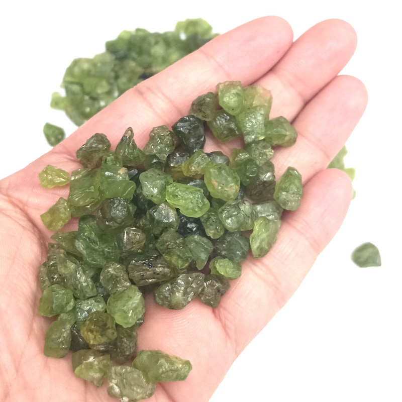 Rolled Up Short in Bright Peridot
