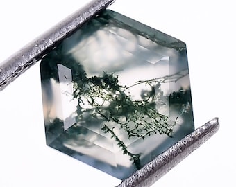 Agate mousse naturelle de forme hexagonale, taille brillant, pierres précieuses en vrac pour la fabrication de bijoux, agate verte hexagonale taillée à facettes, taille calibrée 9 x 9 mm