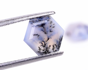 May include: A light blue and black dendritic agate gemstone with a hexagonal shape, held by tweezers.