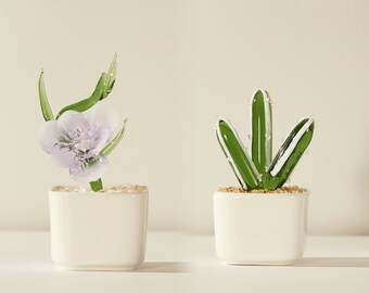 Suculentas de vidrio hechas a mano, plantas en macetas de vidrio, suculentas de vidrio fundido, vidrieras, amantes de los cactus, plantas artificiales, magnolias de vidrio