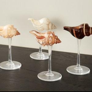 Handmade Natural Conch Shell Wine Glass,Beach Wedding Wine Glasses,Seashell Glasse,Goblet Cocktail Glass Cup,Bar Glasses,Martini Glasses image 3