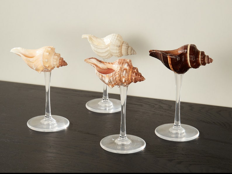 Handmade Natural Conch Shell Wine Glass,Beach Wedding Wine Glasses,Seashell Glasse,Goblet Cocktail Glass Cup,Bar Glasses,Martini Glasses image 3