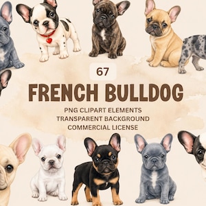 Può includere: Una collezione di 67 illustrazioni digitali di bulldog francesi con vari colori del mantello, tra cui fulvo, nero, bianco, blu e merle. Il testo recita 67 FRENCH BULLDOG PNG CLIPART ELEMENTS TRANSPARENT BACKGROUND COMMERCIAL LICENSE.