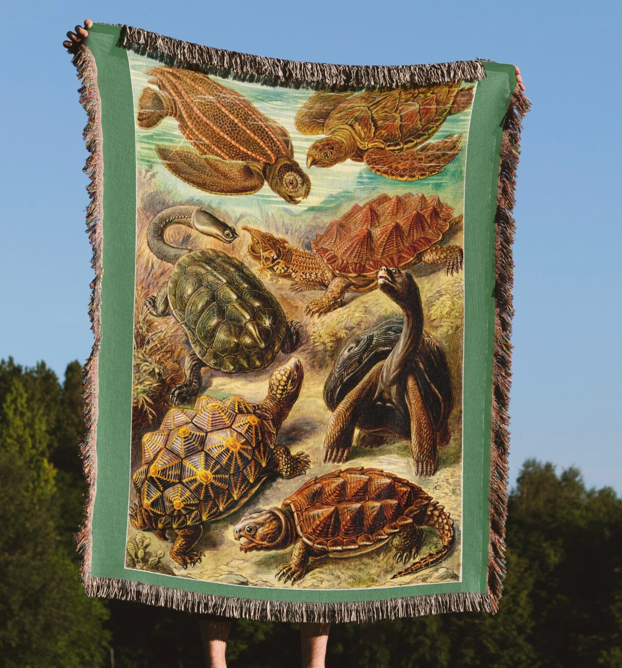 Turtles Throw Blanket Wall Art Gift for Turtle Lover Haeckel Earth Tones Natural Colors Tapestry Sea Turtles Tortoises Etsy UK