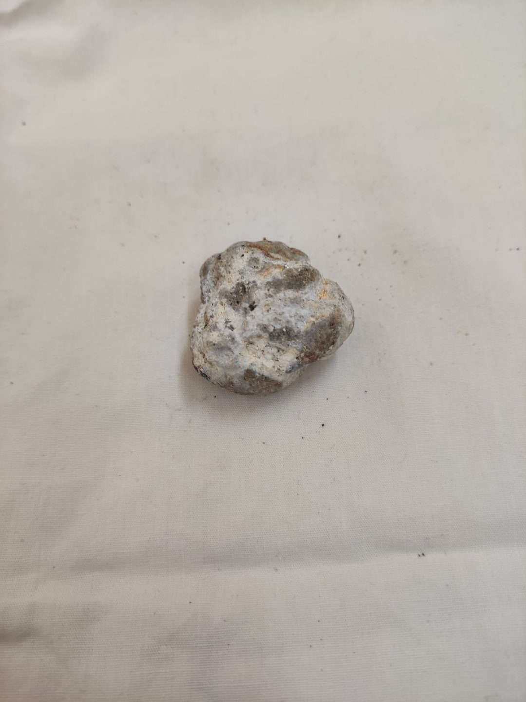 Gray Ambergris 12 Gram Premium Quality Etsy