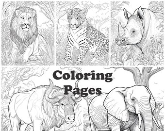Big 5 African Animals Coloring Pages (PNG)