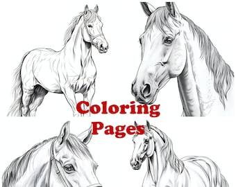 Horse Coloring Pages Vol 2: 24 Printable Designs (PDF)
