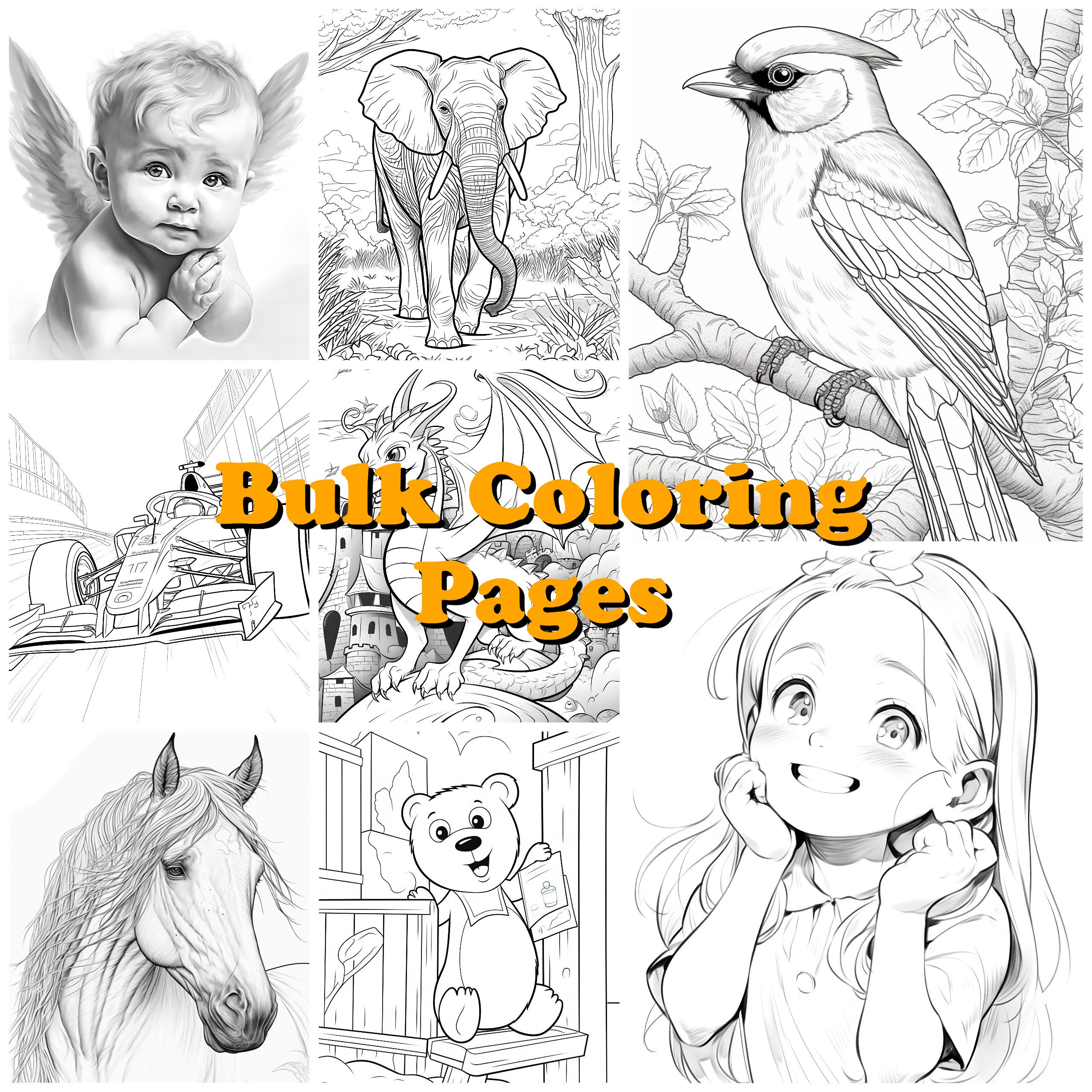 10 Coloring Page Titles for 60% Less. Bulk Order and Save 