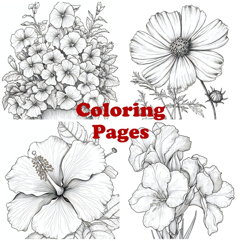 Flower Coloring Pages, Flower Coloring Sheets, Floral Coloring Pages