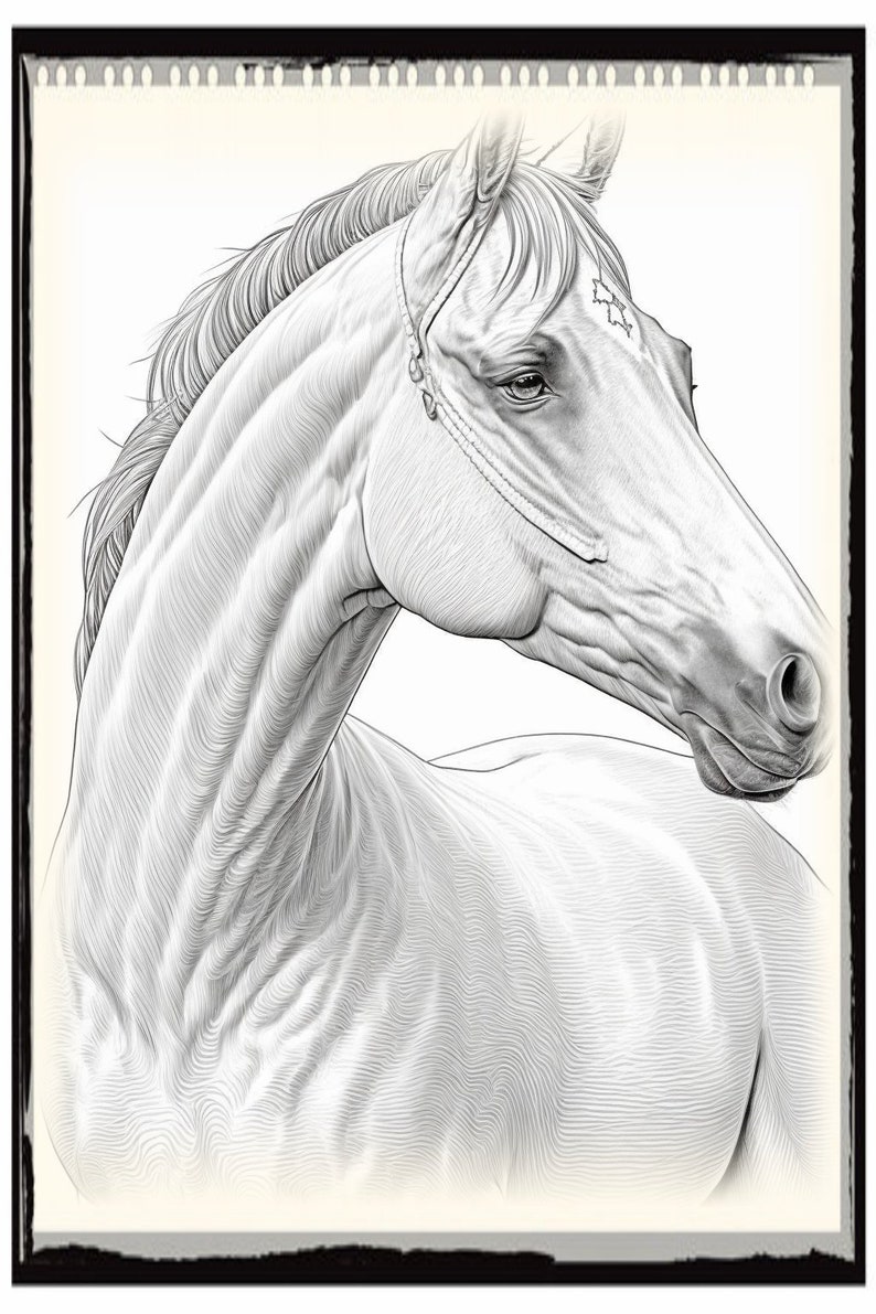 Horse Coloring Pages, Horse Coloring Sheet, Horse Coloring Book - Etsy