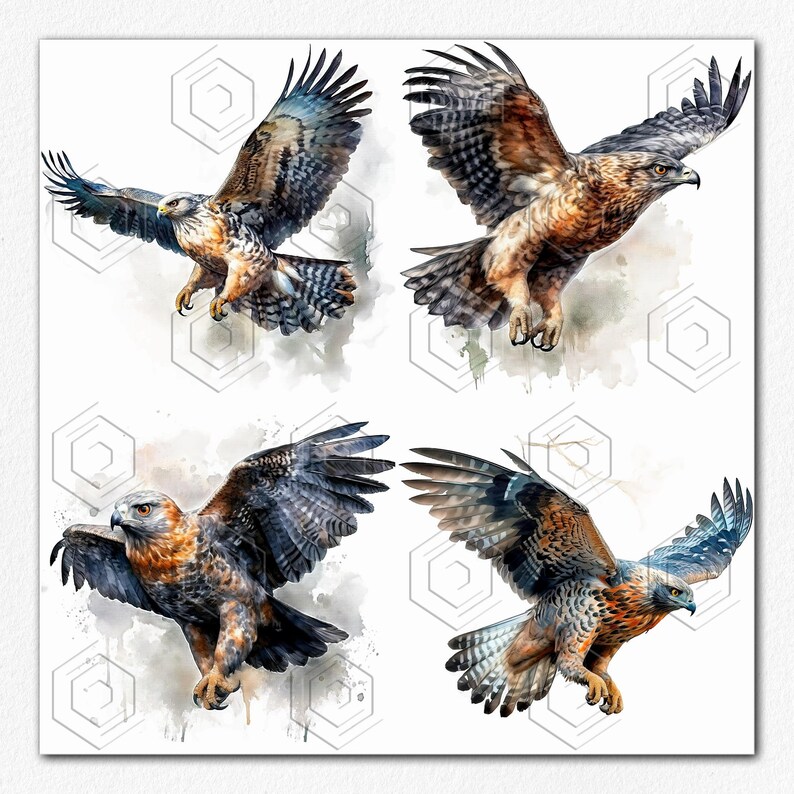 13 PNG &amp; JPG African Crowned Eagle Watercolor Clip Art Ideal - Etsy