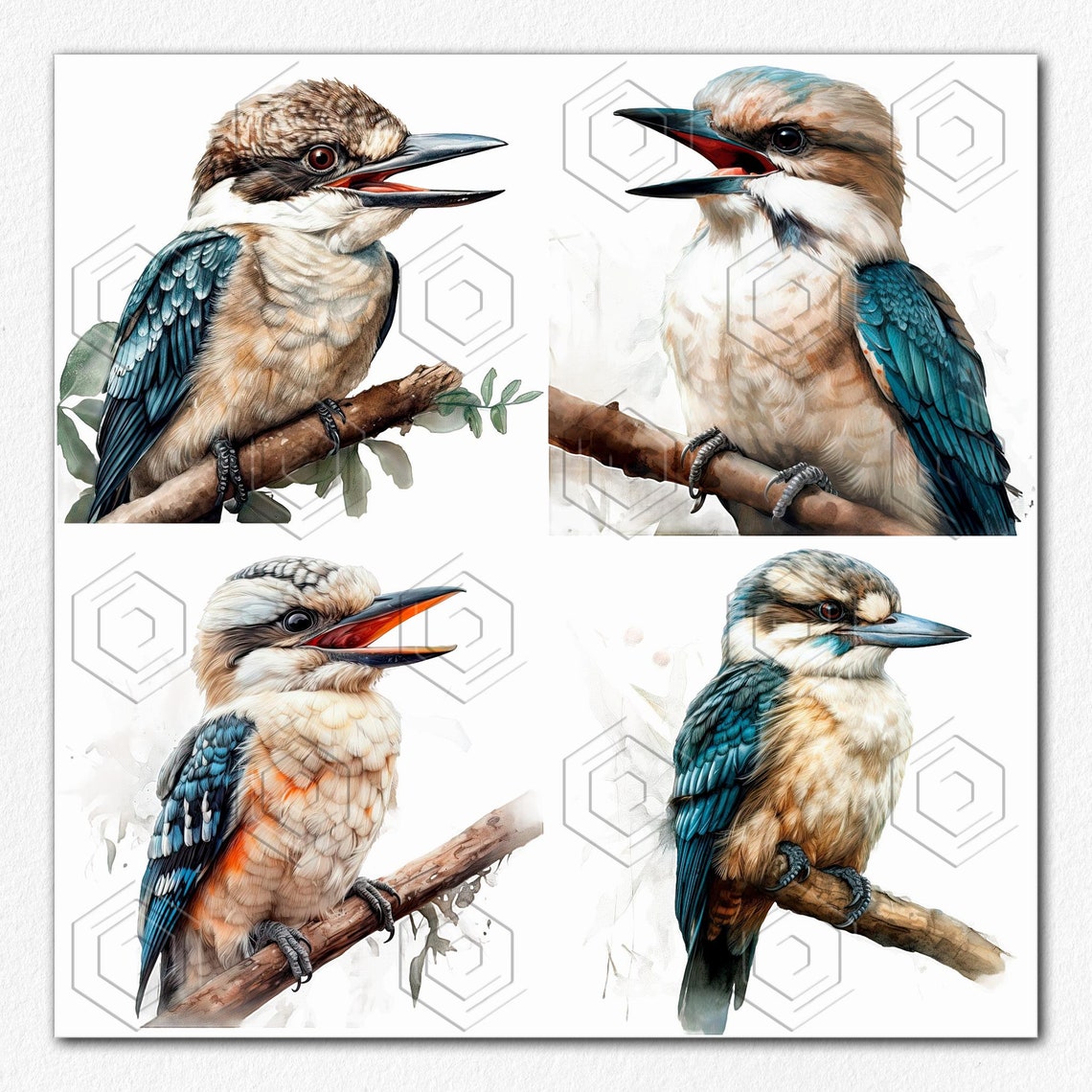 15 PNG & JPG Kookaburra Clip Art Watercolor Illustration - Etsy