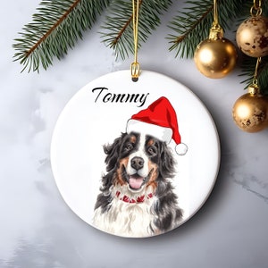 Personalized Pet Ornament, Custom Dog Christmas Ornament, Pet Memorial Ornament, Cat Christmas Photo Ornament, Pet Portrait Name Gift
