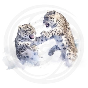 Puede incluir: Dos leopardos de las nieves se enfrentan, con la boca abierta en un gru&ntilde;ido. Ambos est&aacute;n de pie sobre sus patas traseras, con las patas delanteras levantadas en una postura de lucha. El fondo es un lavado de acuarela blanco y borroso.