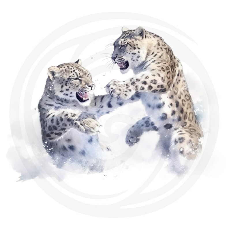 Puede incluir: Dos leopardos de las nieves se enfrentan, con la boca abierta en un gru&ntilde;ido. Ambos est&aacute;n de pie sobre sus patas traseras, con las patas delanteras levantadas en una postura de lucha. El fondo es un lavado de acuarela blanco y borroso.