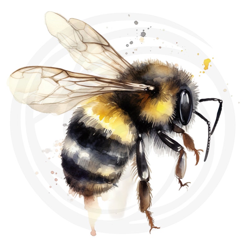 Puede incluir: Una pintura de acuarela de un abejorro con rayas negras y amarillas, cuerpo peludo marr&oacute;n y alas transparentes. La abeja est&aacute; en vuelo con las patas extendidas.