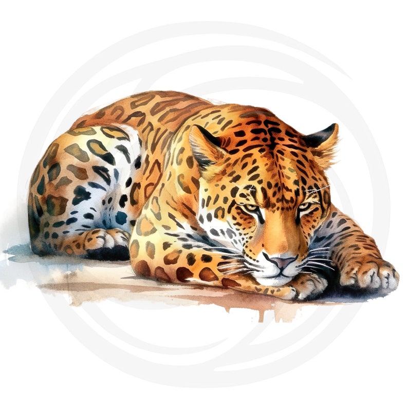 May include: A close-up of a jaguar lying on its belly with its head resting on its paws. The jaguar has a spotted coat with black and brown markings. The jaguar's eyes are closed and its mouth is slightly open.