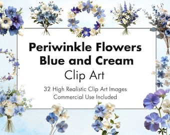 Periwinkle azul y crema flores Clip Art - 32 JPG de alta calidad - Fondo blanco y transparente - Imágenes realistas - Uso comercial