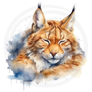 May include: Watercolor painting of a brown and orange lynx with its eyes closed, curled up in a sleeping position. The lynx is surrounded by a blue watercolor wash.