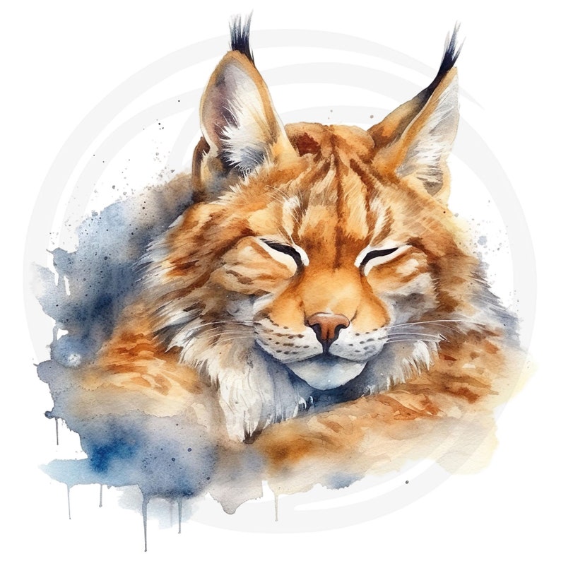May include: Watercolor painting of a brown and orange lynx with its eyes closed, curled up in a sleeping position. The lynx is surrounded by a blue watercolor wash.