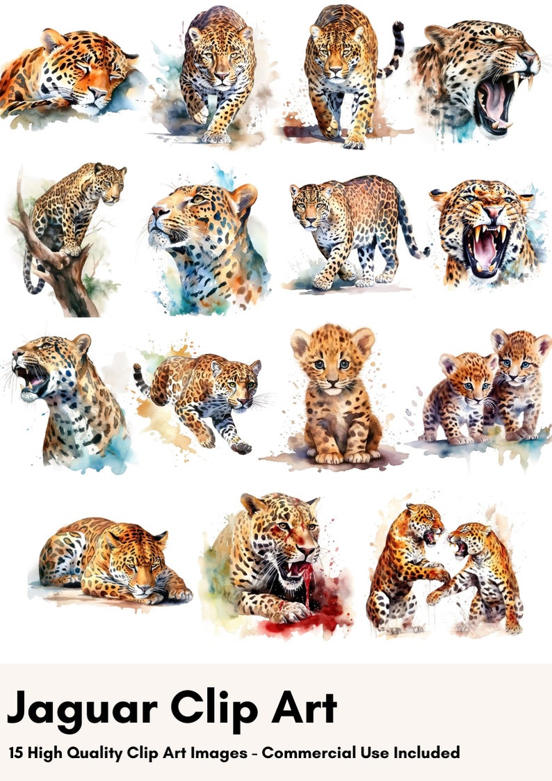 May include: A collection of 15 watercolour illustrations of jaguars in various poses, including a jaguar cub, a jaguar with its mouth open, and a jaguar lying down. The illustrations are set against a white background with watercolour splatters.