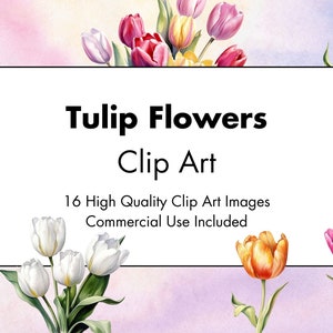 Clipart Tulipanes - 16 JPGs Alta Calidad - Fondo Blanco y Transparente - Ilustracion Acuarela - Descarga Digital - Uso Comercial