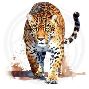 May include: A watercolour painting of a jaguar walking towards the viewer. The jaguar has a spotted coat with black and brown markings. The background is a white canvas with brown watercolour splatters.