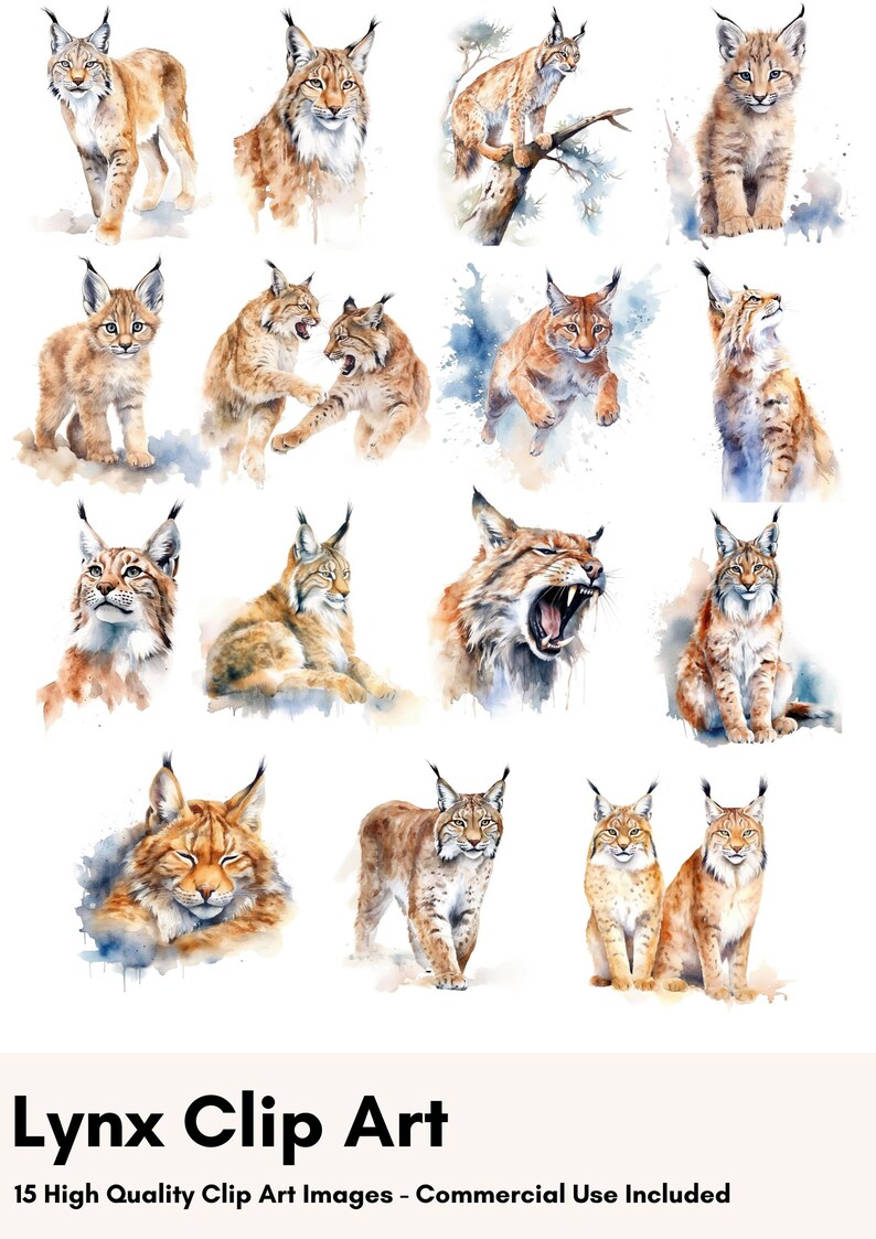 May include: A digital clip art set of 15 watercolor illustrations of lynx. The lynx are depicted in various poses, including sitting, standing, and jumping. The illustrations are in shades of brown, white, and black.