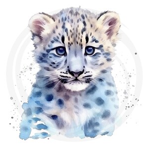 Puede incluir: Una pintura de acuarela de un cachorro de leopardo de las nieves con ojos azules. El cachorro est&aacute; sentado y mirando directamente al espectador. El fondo es un c&iacute;rculo blanco con salpicaduras de acuarela grises y azules.