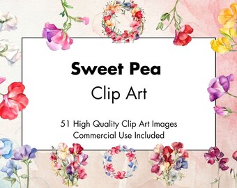 Süße Erbsen Blumen Clipart - 51 Hochwertige JPGs - Weißer & Transparenter Hintergrund - Aquarell Illustration - Download - Kommerzielle Nutzung
