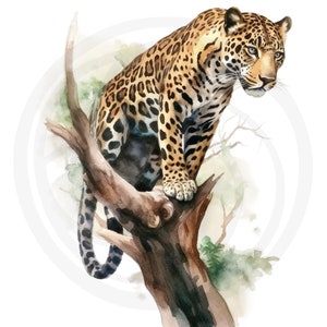 May include: A watercolour painting of a jaguar sitting on a tree branch. The jaguar is brown and black with spots. The tree branch is brown and has green leaves. The background is white.