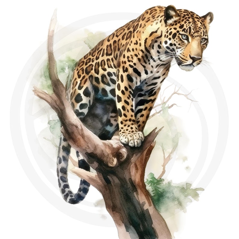 May include: A watercolour painting of a jaguar sitting on a tree branch. The jaguar is brown and black with spots. The tree branch is brown and has green leaves. The background is white.