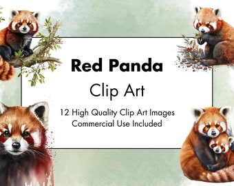 Red Panda Clipart- 12 High Quality PNGs - White and Transparent Background - Watercolor Illustration - Digital Download - For Commercial Use