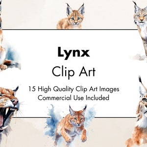 Luchs Clipart - 15 hochwertige JPGs - weißer & transparenter Hintergrund - Aquarell Illustration - digitaler Download - für kommerzielle Nutzung