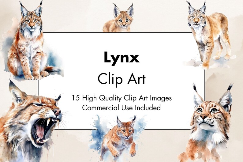 May include: A digital illustration set of watercolor paintings featuring a lynx in various poses. The lynx is depicted in a light brown color with black spots. The set includes 15 high-quality clip art images for commercial use.