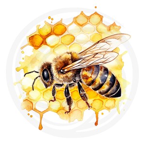 Puede incluir: Una pintura de acuarela de una abeja en un panal. La abeja es marr&oacute;n y amarilla con rayas negras. El panal es amarillo y marr&oacute;n con una lavada de acuarela.