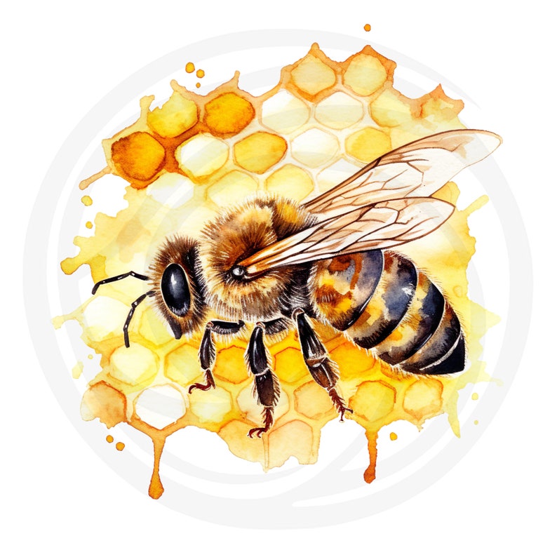 Puede incluir: Una pintura de acuarela de una abeja en un panal. La abeja es marr&oacute;n y amarilla con rayas negras. El panal es amarillo y marr&oacute;n con una lavada de acuarela.