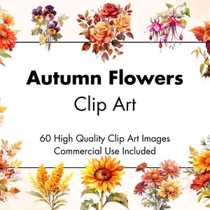 Puede incluir: Una colección de 60 imágenes de clip art de alta calidad que presentan flores de otoño en varios colores, incluidos naranja, amarillo, rojo y morado. El texto "Autumn Flowers Clip Art" y "Commercial Use Included" se muestra en un fondo blanco.