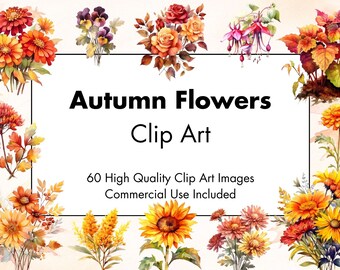Herbst Blumen Clipart - 60 hochwertige PNGs - weißer & transparenter Hintergrund - Aquarell Illustration - Download - Kommerzielle Nutzung