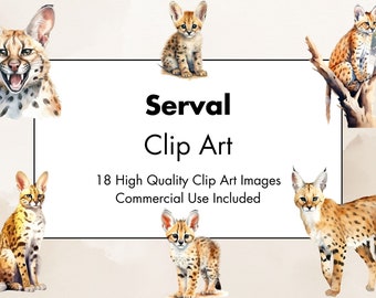 Serval Clipart - 18 High Quality JPGs - White & Transparent Background - Watercolor Illustration- Digital Download - For Commercial Use