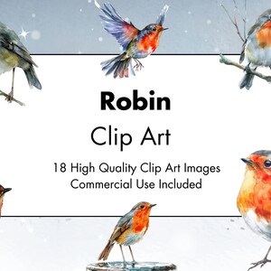 Robin Birds Clipart- 18 High Quality PNGs - White & Transparent Background - Watercolor Illustration - Digital Download - Commercial Use