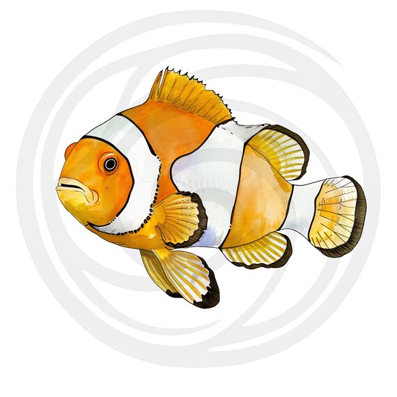 Orecchini a bottone in smalto a forma di pesce pagliaccio in